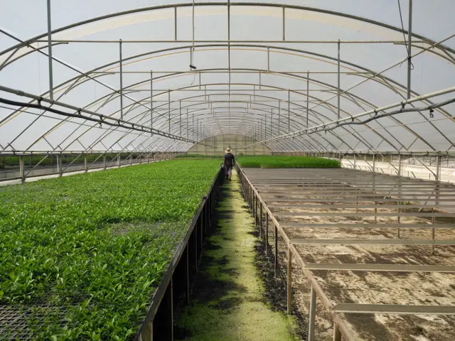 Agriculture & Horticulture