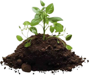 Compostable Plastics